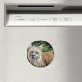 Wild Fox Magnet (In Situ (Geschirrspüler))