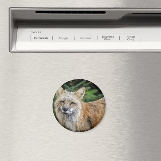 Wild Fox Magnet (In Situ (Geschirrspüler))