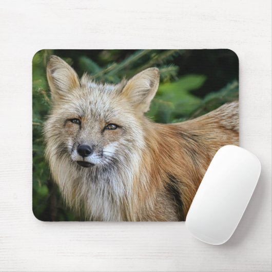 Wild Fox Mousepad (Mit Mouse)