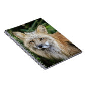 Wild Fox Notizblock (Rechte Seite)