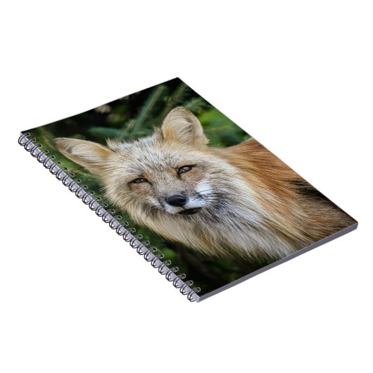 Wild Fox Notizblock (Rechte Seite)