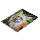 Wild Fox Notizblock (Linke Seite)