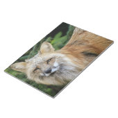 Wild Fox Notizblock (angewinkelt)