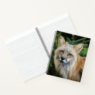 Wild Fox Notizblock