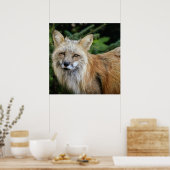 Wild Fox Poster (Küche)