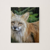 Wild Fox Puzzle (Vertikal)