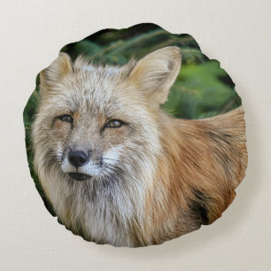 Wild Fox Rundes Kissen
