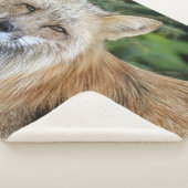 Wild Fox Sherpadecke (3/4)