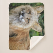 Wild Fox Sherpadecke (Vorderseite)