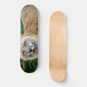 Wild Fox Skateboard (Vorderseite)