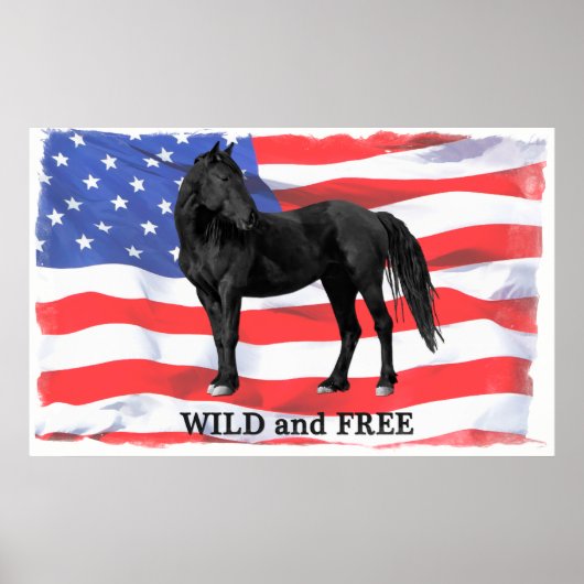 Wild & Free American Wild Horse Poster (Vorne)