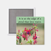 Wild Fuchsias Magnet (Vorderseite/Rückseite)