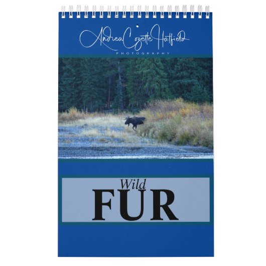 Wild-Fur-Kalender Kalender (Titelbild)
