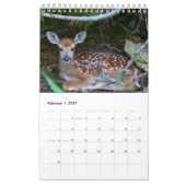 Wild-Fur-Kalender Kalender (Feb 2027)