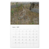 Wild-Fur-Kalender Kalender (Mär 2027)