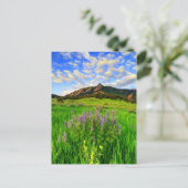 Wild für Sie Postkarte (Stehend Vorderseite)