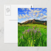 Wild für Sie Postkarte (Vorne/Hinten)