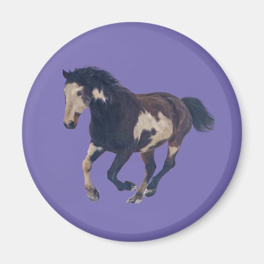 Wild Galloping Pinto American Paint Horse Magnet (Vorne)