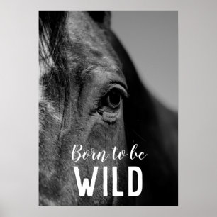 Wild geboren Schwarz-Weiß Nahaufnahme Pferdeauge Poster