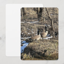 Wild Geese Feiertagskarte