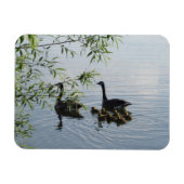 Wild Geese Flexible Magnet (Horizontal)