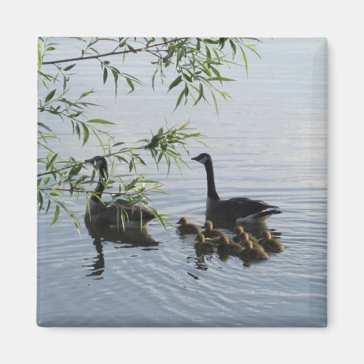 Wild Geese Magnet (Vorne)