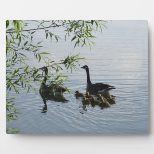 Wild Geese Plaque Fotoplatte