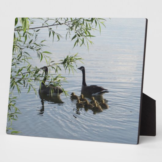 Wild Geese Plaque Fotoplatte (Seite)