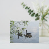Wild Geese Postcard Postkarte (Stehend Vorderseite)