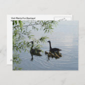 Wild Geese Postcard Postkarte (Vorne/Hinten)