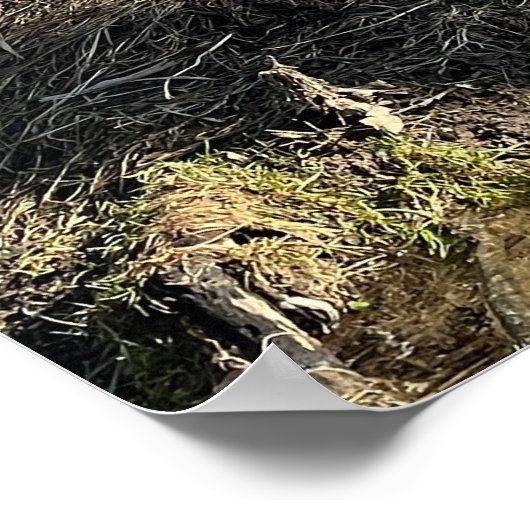 Wild Geese Poster (Ecke)