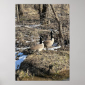 Wild Geese Poster (Vorne)