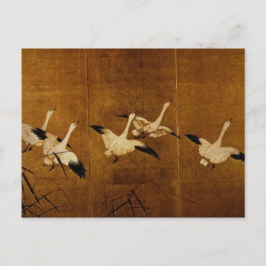 Wild Geese Postkarte (Vorderseite)