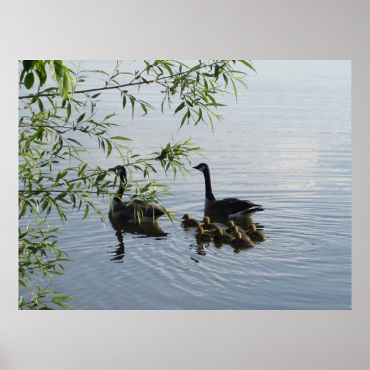 Wild Geese Print Poster (Vorne)