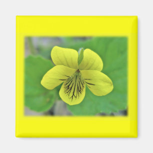 Wild gelbe violette Koordinaten Magnet