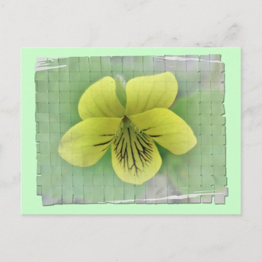 Wild gelbe violette Koordinaten Postkarte (Vorderseite)