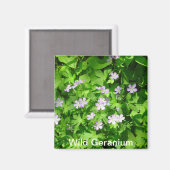 Wild Geranium Magnet (Vorderseite/Rückseite)