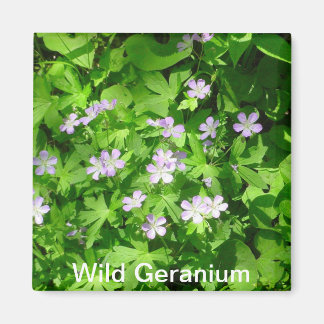 Wild Geranium Magnet