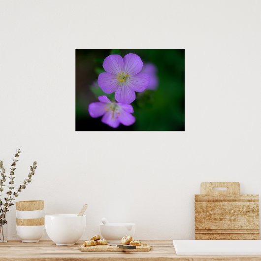 Wild Geranium Poster (Küche)