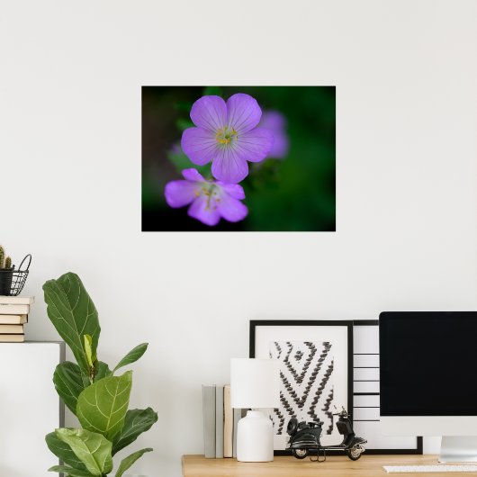 Wild Geranium Poster (Heimbüro)