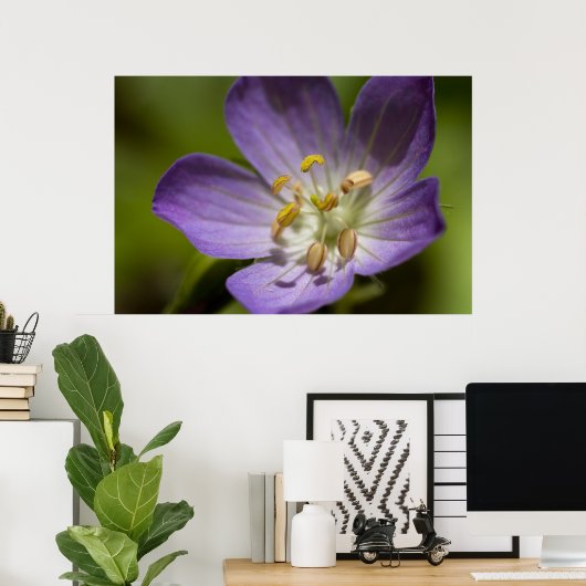 Wild Geranium Poster (Heimbüro)