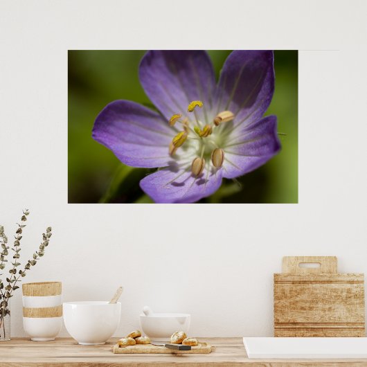 Wild Geranium Poster (Küche)