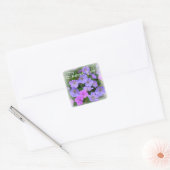 WILD GERANIUM ~ Square Envelope Sealer/Aufkleber Quadratischer Aufkleber (Umschlag)