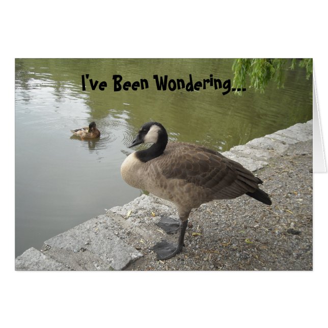 Wild Goose (Vorderseite (Horizontal))