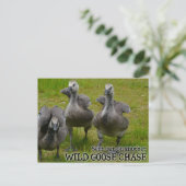 Wild Goose Chase Postkarte (Stehend Vorderseite)