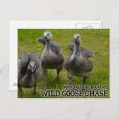 Wild Goose Chase Postkarte (Vorne/Hinten)