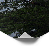 Wild Goose Island Poster (Ecke)