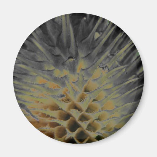 Wild Grass Supernova Magnet (Vorne)