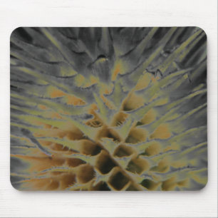 Wild Grass Supernova Mousepad