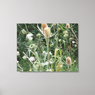 Wild Grasses Canvas Print Leinwanddruck